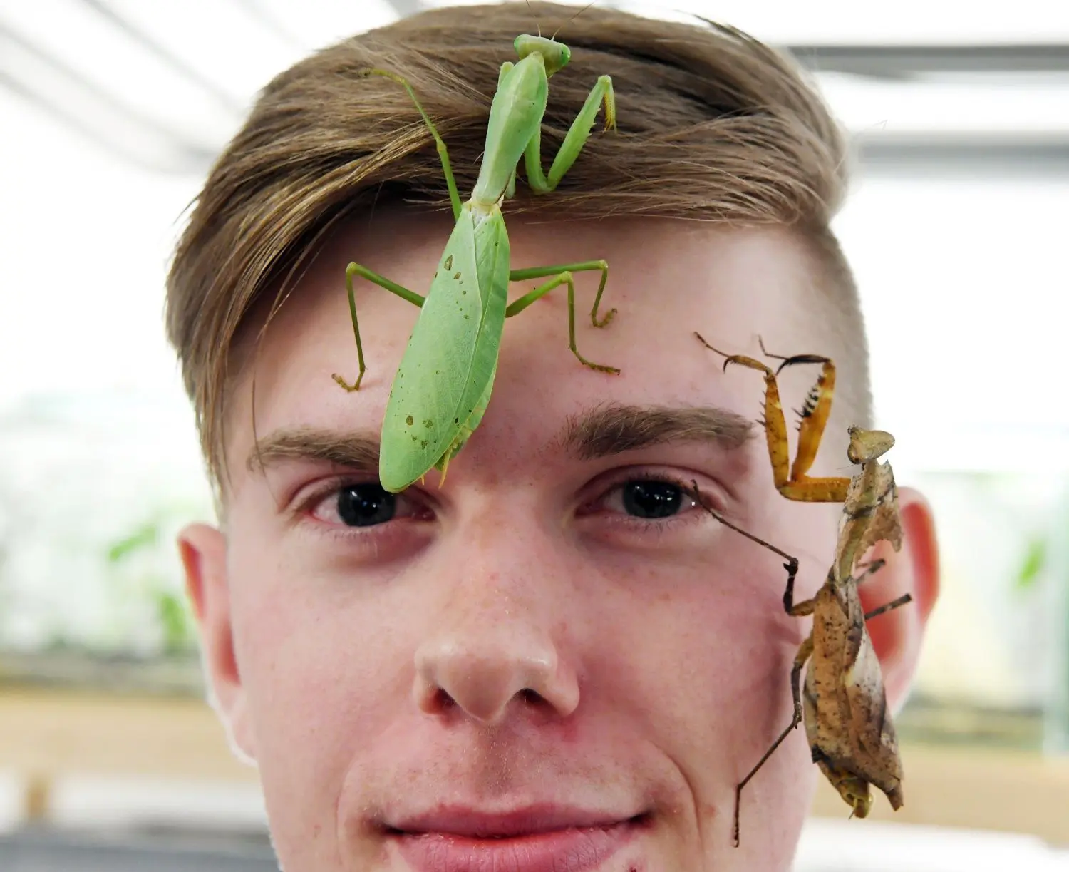 Insektenzüchter Adrian Kozakiewicz ist ein Internet-Star