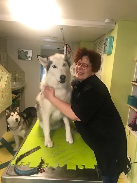 Zwei Huskys in der Praxis von Ingeborg Barkholtz.⇥