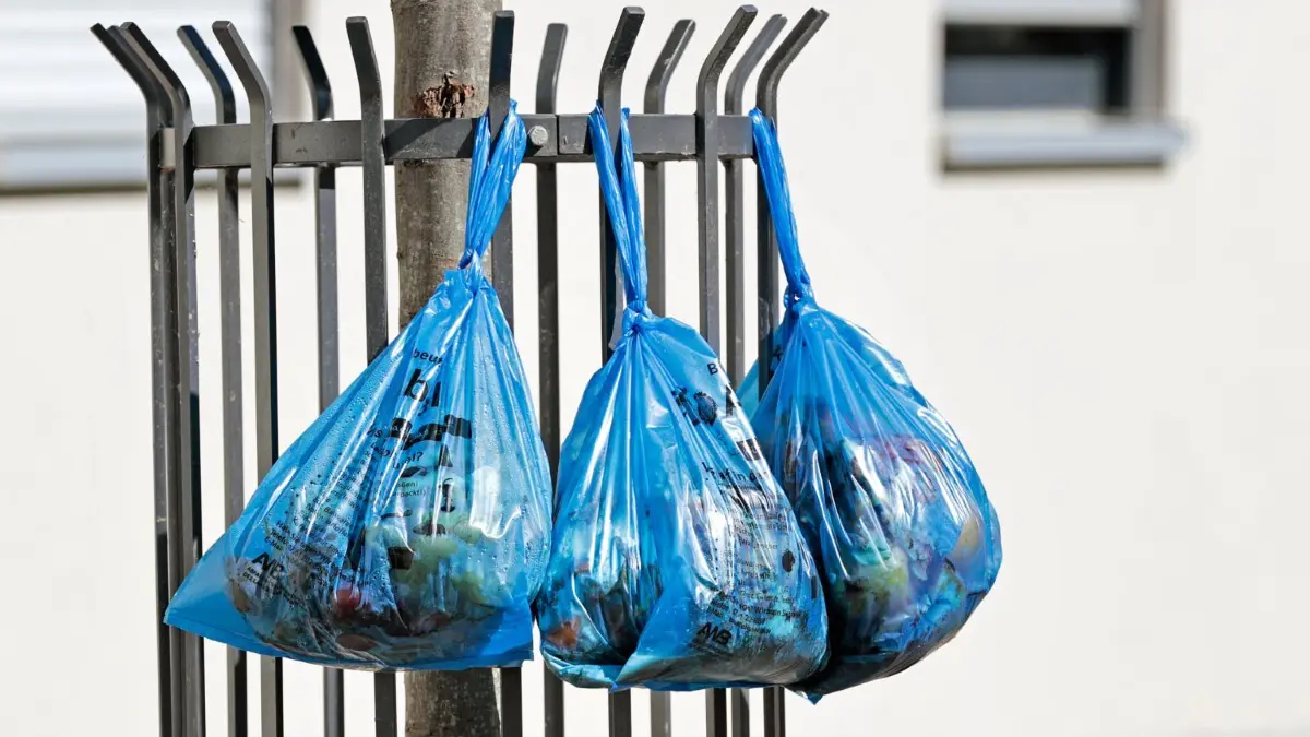 Da hängen sie und warten auf die Abholung: Die Biobeutel, die im Landkreis Göppingen für die Entsorgung von Biomüll verwendet werden müssen. Doch wie lagert man die Lebensmittelreste im Sommer am besten, damit sich keine Maden entwickeln?
Entsorgung von Bioabfällen im Landkreis Göppingen durch den Abfallwirtschaftsbetrieb (AWB) des Landkreises Göppingen. Der Bioabfall aus dem Landkreis Göppingen wird in Biobeuteln eingesammelt und der Verarbeitung zu umwelt- und klimafreundlichem Biogas zugeführt. Der Landkreis Göppingen lässt seine Bioabfälle zu umwelt- und klimafreundlichem Biogas verarbeiten. Im Bild zur Abholung bereit gestellte Biobeutel in der Stockstraße in Geislingen.