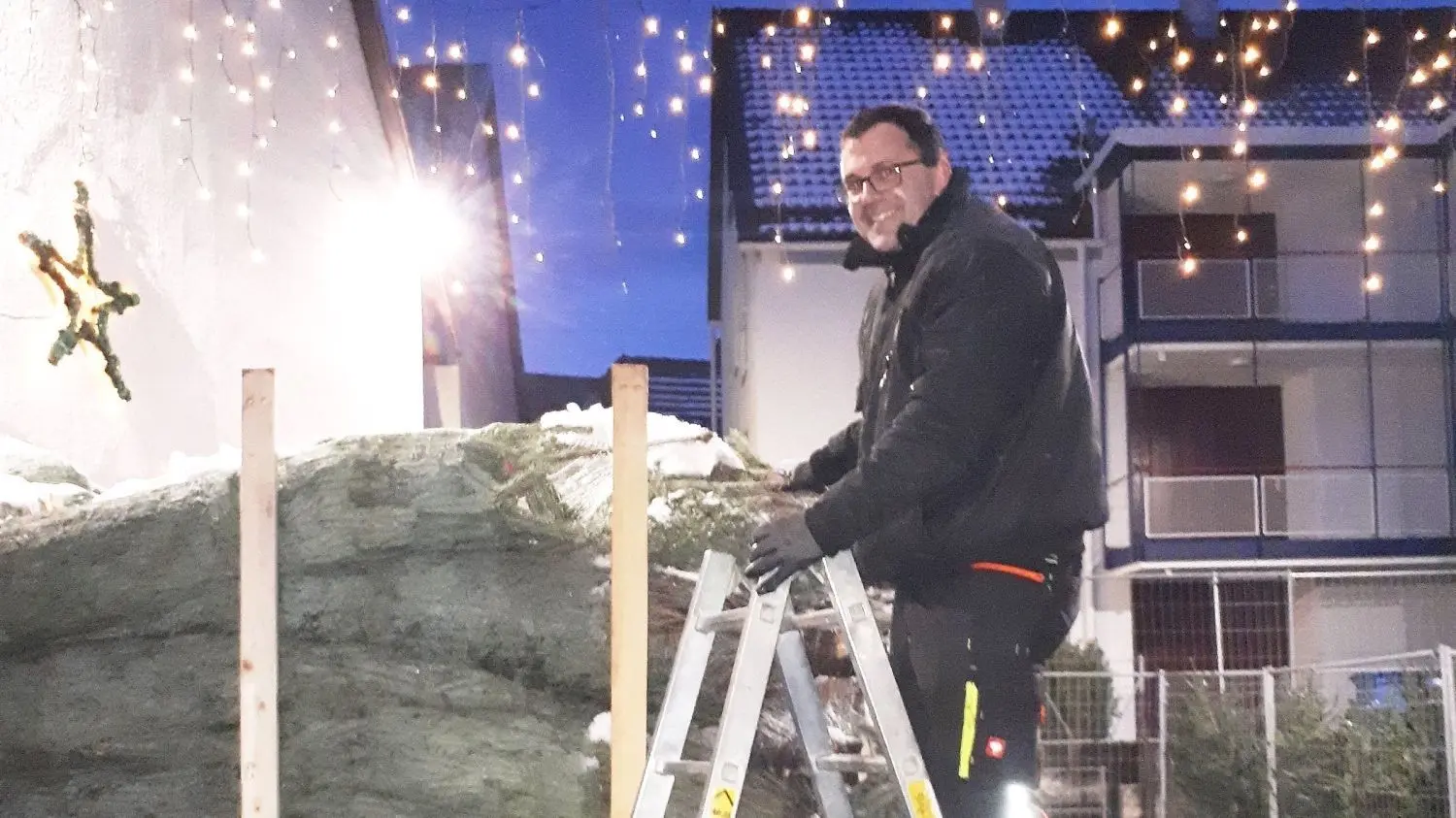 Rund 600 Nordmanntannen hat Alexander Bulach im Angebot.⇥