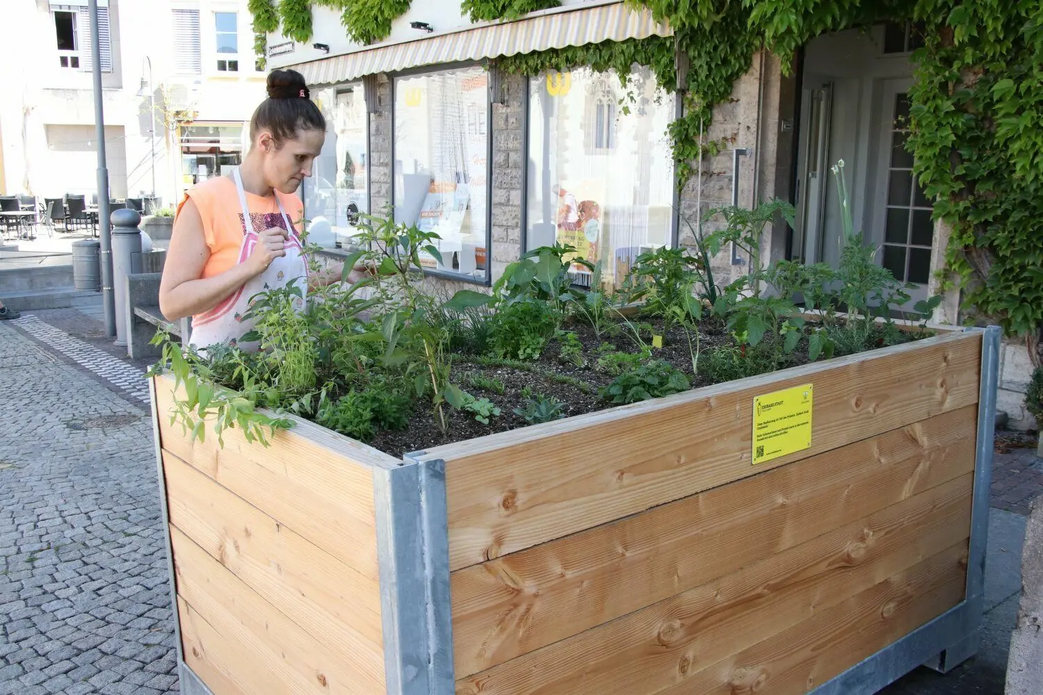 Eine Auswahl an Kräutern erwartet die Vorbeilaufenden auf dem Schweinemarktplatz.⇥