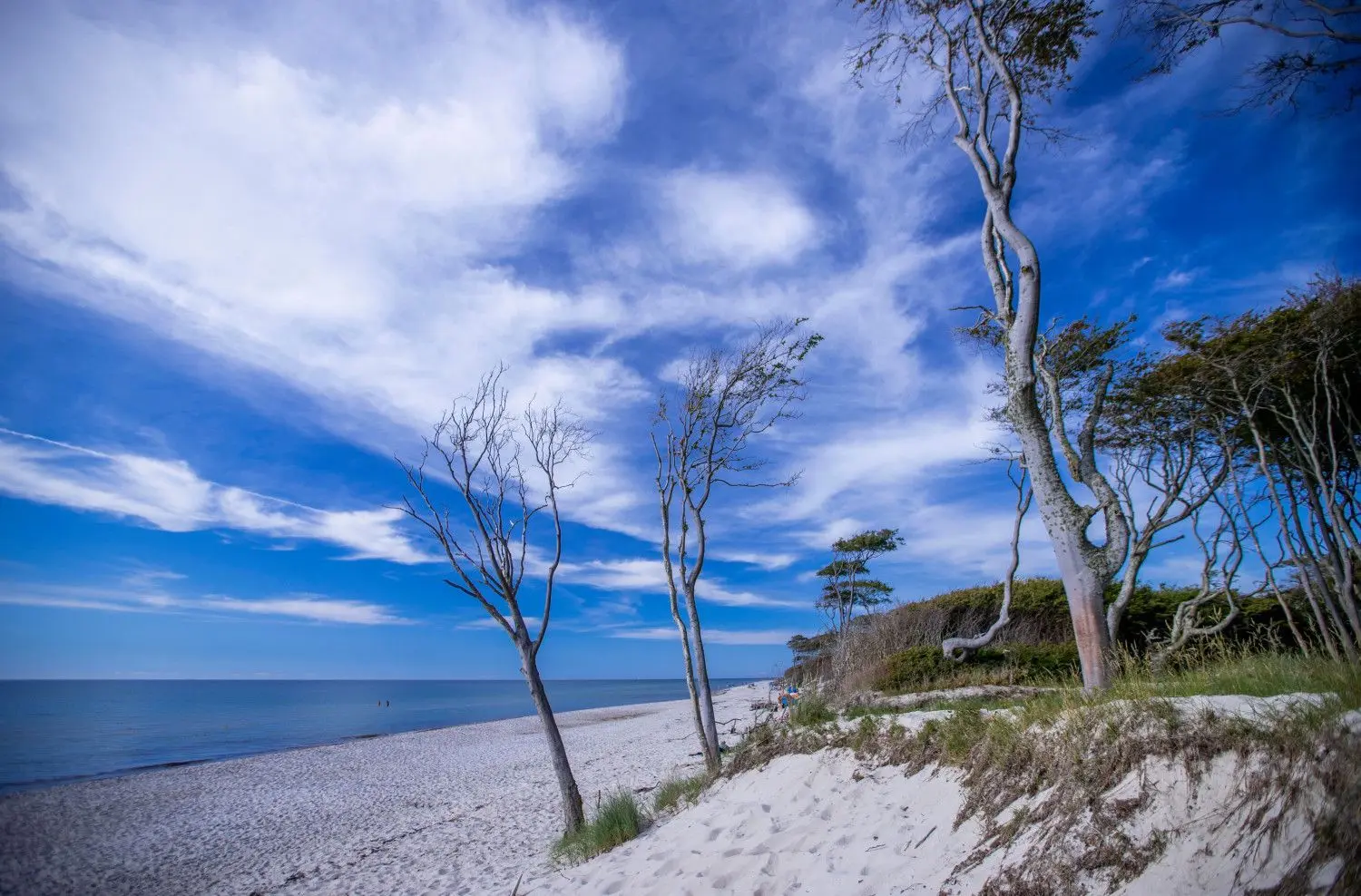 Prerow in Mecklenburg-Vorpommern: Noch ist die Küste für Touristen aus anderen Bundesländern gesperrt. Wann wird Urlaub an der Ostsee wieder möglich?