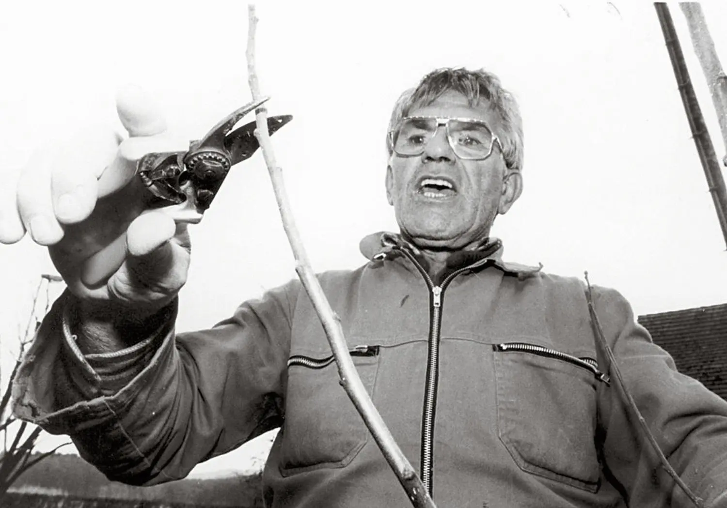 Kultivierte den aus der Schweiz stammenden Oeschberg-Schnitt weit über das Remstal hinaus: Helmut Palmer.
