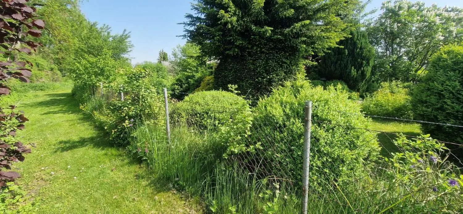 Einbruch in der Kleingartenanlage in Neu-Ulm: Nach einem Polizeieinsatz sind fünf Schrebergärten im Muthenhölzle mit Polizeiband als Tatort abgesperrt.