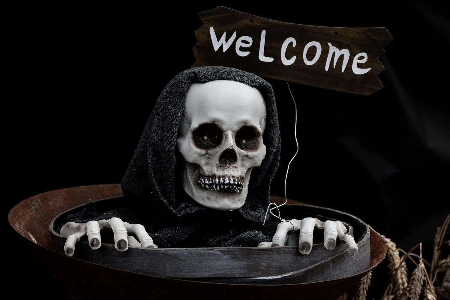 Die volle Dröhnung Halloween gibt’s in Eybach, wo Aytac Ece sein gesamtes Grundstück dekoriert hat. Sämtliche Spenden von Besuchern kommen gemeinnützigen Projekten zugute.