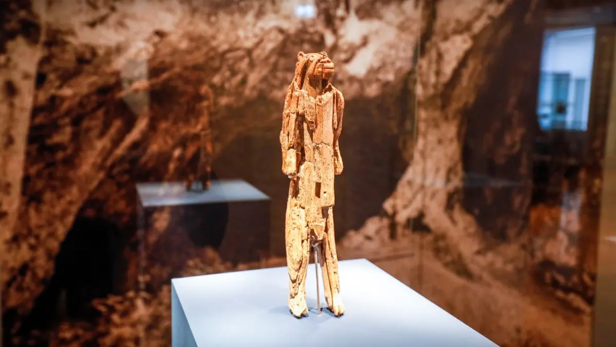 Der aktuelle Standort des Löwenmenschen im Museum Ulm: Die Figur hat keinen eigenen Raum, für das Höhlengefühl sorgt nur ein Foto des Hohlenstein-Stadels an der Wand.
Ulmer Museum - Löwenmensch