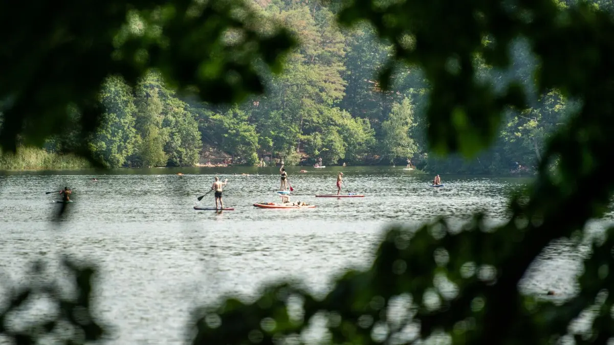 Stand-Up Paddler fahren auf dem Schlachtensee in Berlin-Zehlendorf. In diesem See ist ein 30 Jahre alter Mann ums Leben gekommen.
ARCHIV - 19.06.2021, Berlin: Stand-Up Paddler fahren auf dem Schlachtensee. In diesem See wie in anderen Gewässern gab es in den Vorjahren Hinweise auf Saugwürmer im Wasser. Ihre winzigen Larven, die so genannten Zerkarien, treten vermehrt an Ufern mit vielen Pflanzen und Vögeln auf und können Hautentzündungen verursachen. Foto: Christophe Gateau/dpa +++ dpa-Bildfunk +++