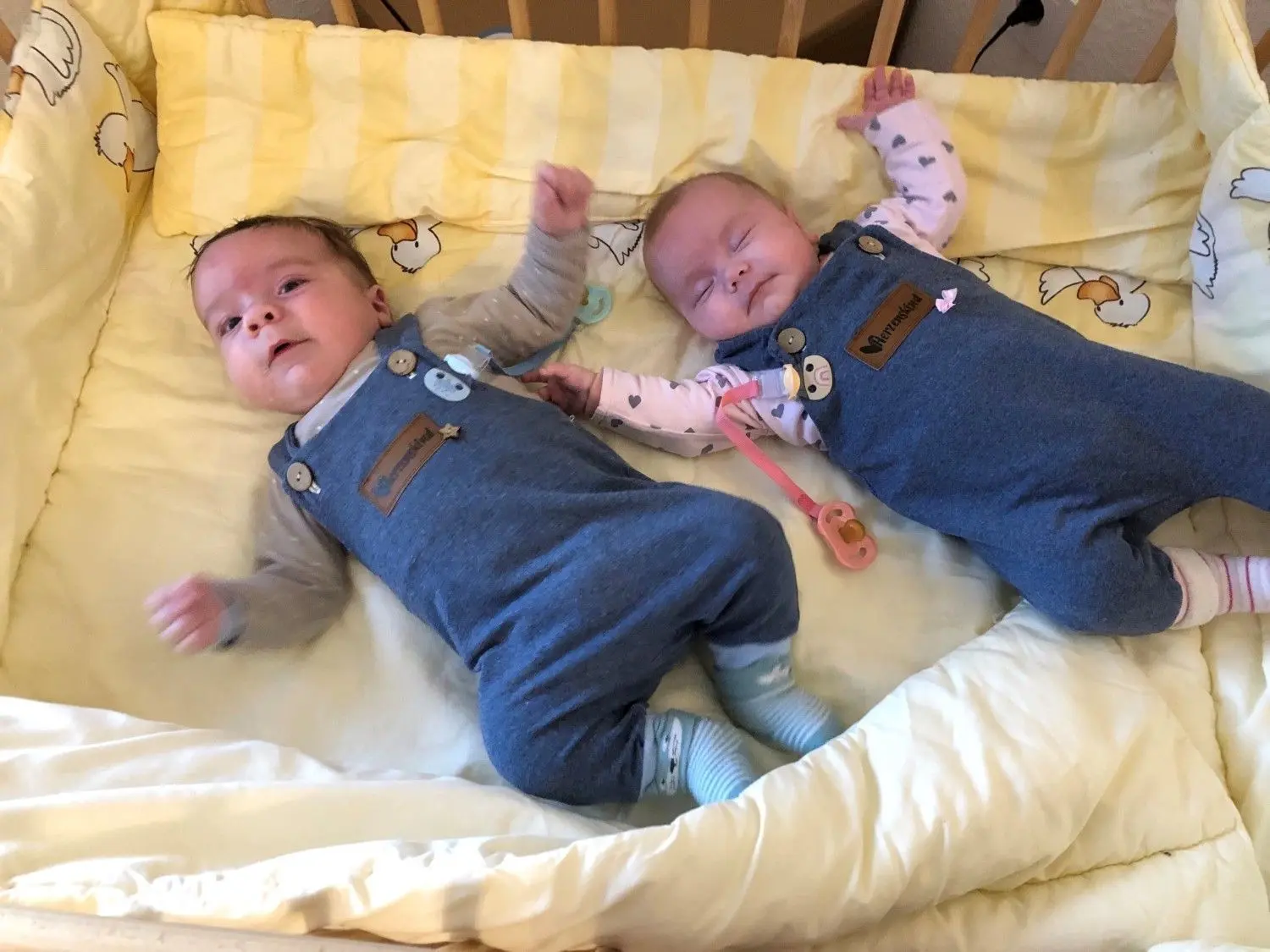 Im Oktober kamen die beiden Zwillinge Adrian und Amalia zur Welt. ⇥Foto: