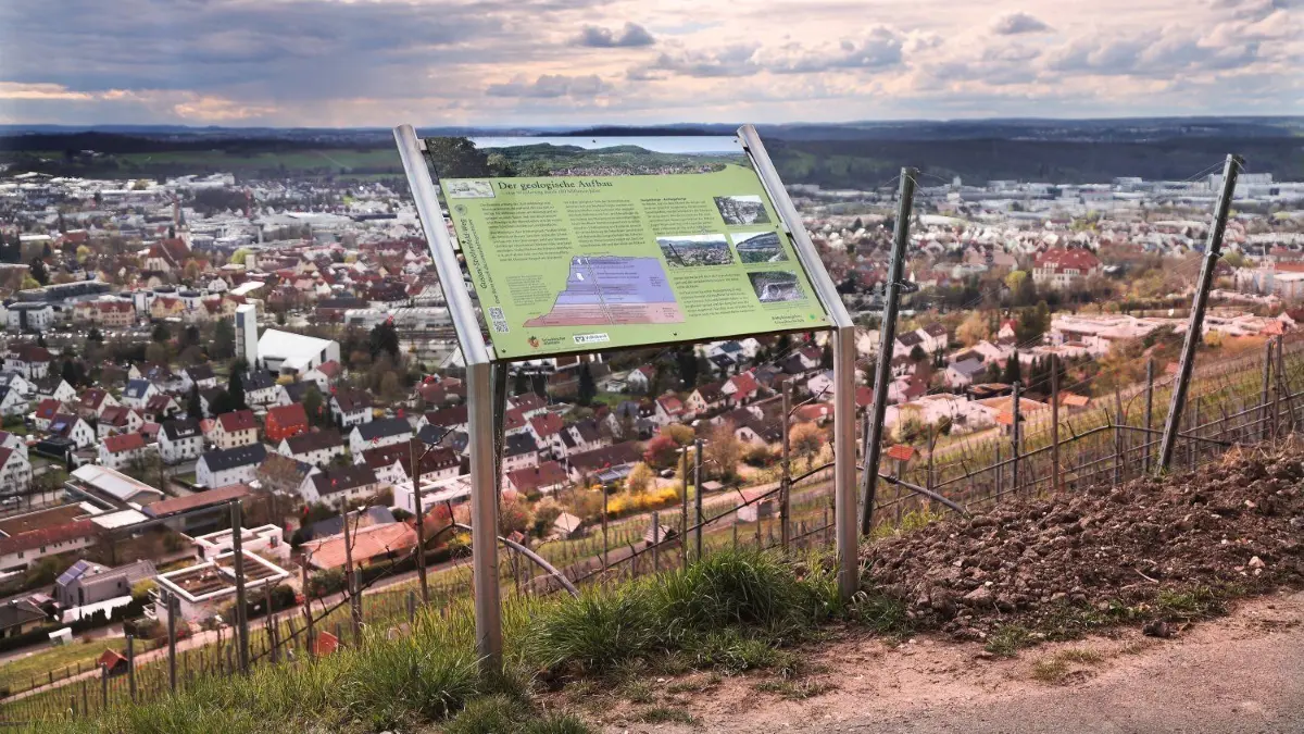 Entlang des Gustav-Ströhmfeld-Weges gibt es zahlreiche Infotafeln, wie hier auf dem Metzinger Weinberg.
Gustav-Ströhmfeld-Weg Ströhmfeld-Weg Ströhmfeld Weinberg Wandern Albverein