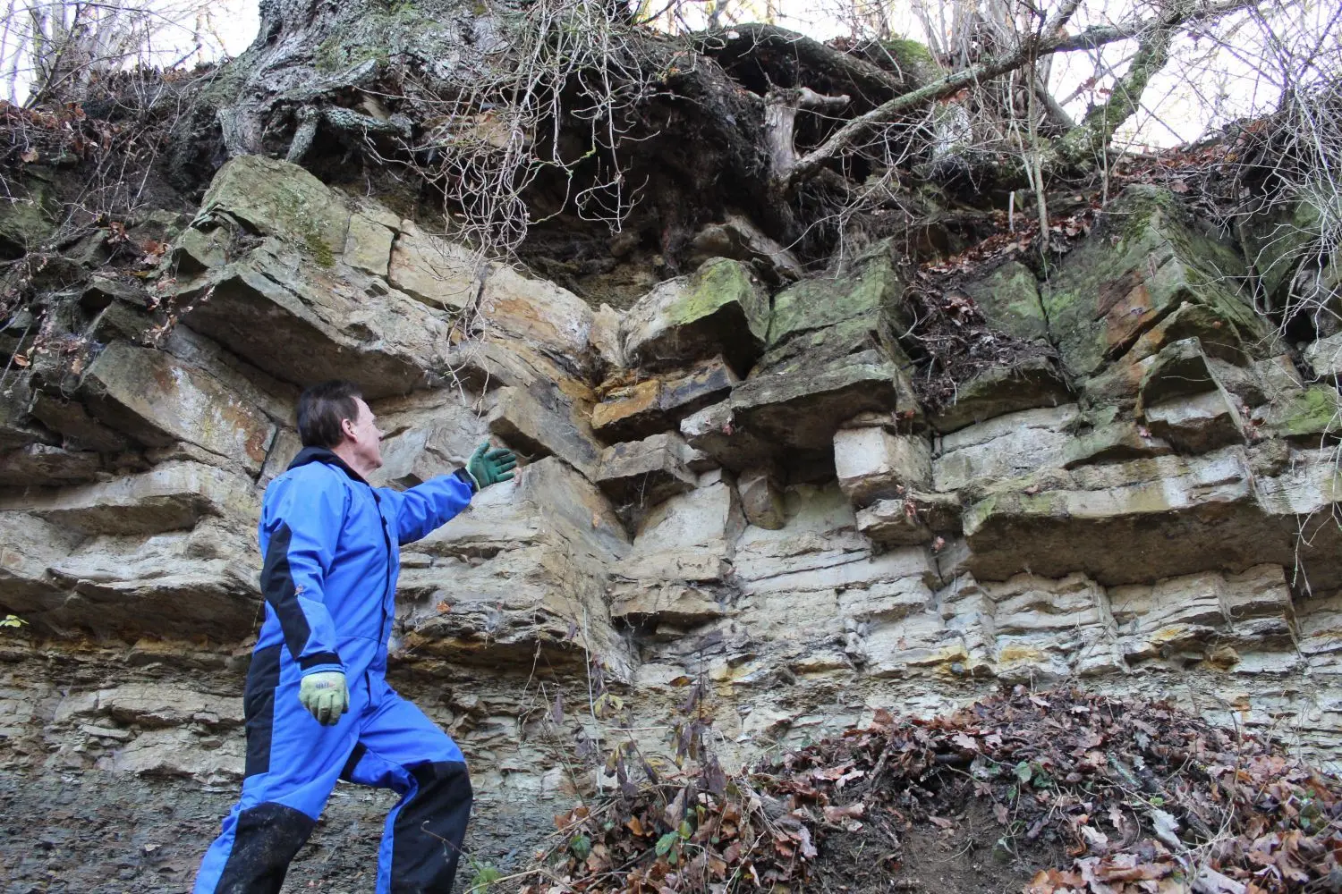 An einem sogenannten Aufschluss am Zimmerbach ist der Nautilus vor Millionen von Jahren steckengeblieben.