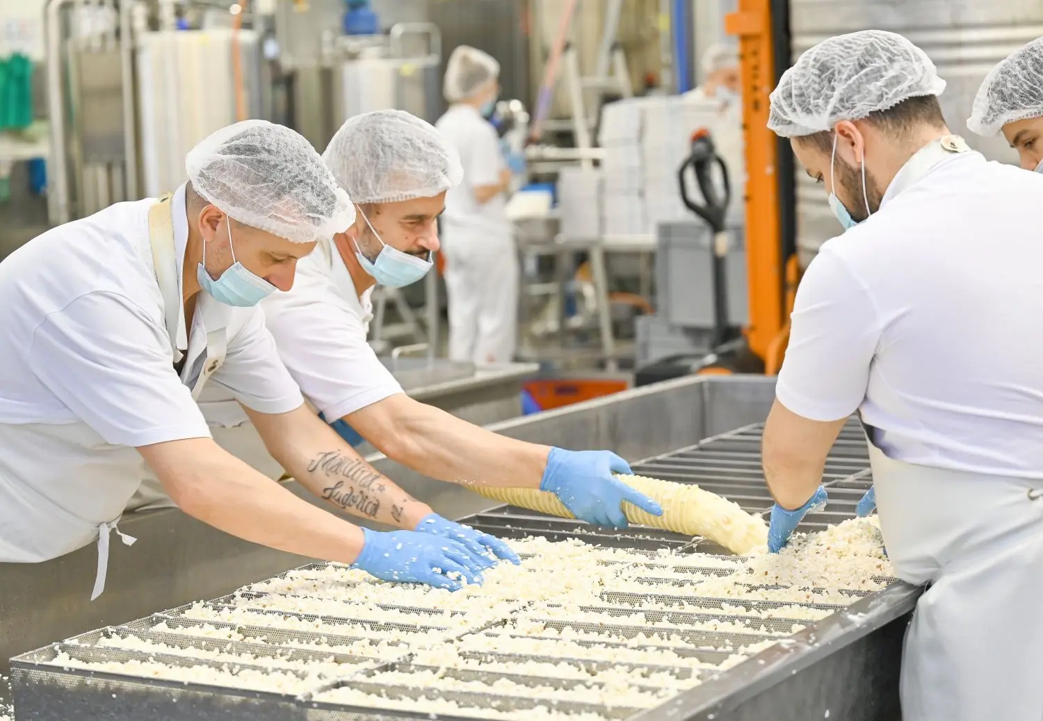 Besuch in der Produktion in der Landkäserei Herzog in Roggenburg-Schießen.
