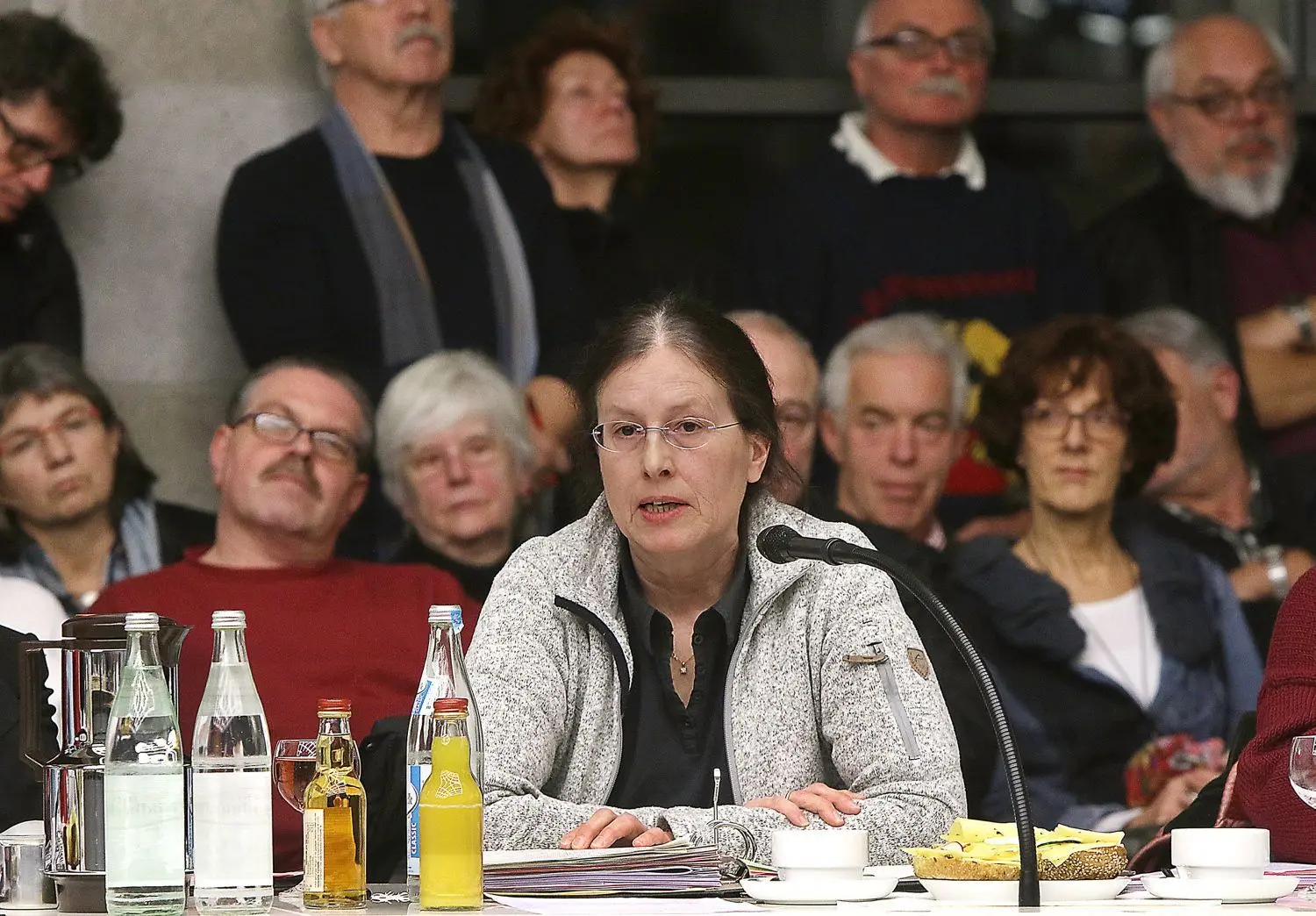 Andrea Herrmann, Sprecherin der Grünen