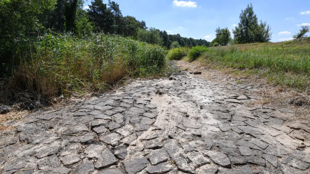 Der verregnete Sommer hat bei den trockenen Böden in Brandenburg nur oberflächlich etwas bewirkt. Bis 2100 werden die Niederschläge wohl weiter zunehmen, doch bei den möglichen Auswirkungen auf die Grundwasserneubildung stehen noch viele Fragezeichen.
Ausgetrocknet ist das Flussbett der Schwarzen Elster. Seit Wochen fehlt der Regen in vielen Regionen Brandenburgs. Das Wasser in den Seen und Flüssen wird immer knapper. Einige Flüsse führen extremes Niedrigwasser. Die Schwarze Elster zwischen Kleinkoschen und Senftenberg (Oberspreewald-Lausitz) ist auf einer Länge von etwa fünf Kilometern komplett ausgetrocknet. +++ dpa-Bildfunk +++