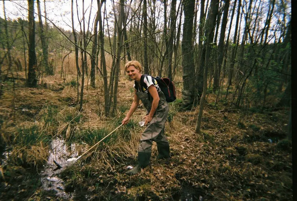 Die Biologin Doreen Werner ist Expertin für Stechmücken, die gerne in Tümpeln wie diesem ihre Eier ablegen. Werner betreut auch das Forschungsprojekt Mückenatlas.