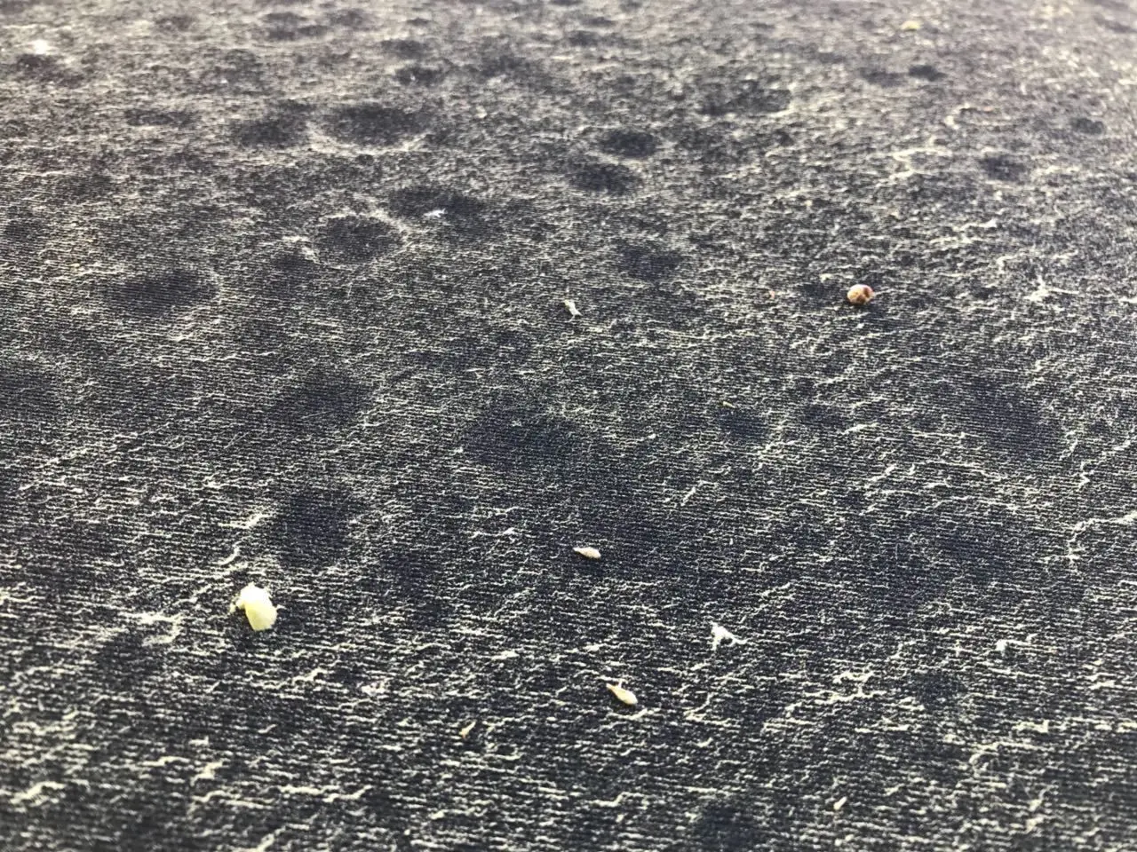 Die Nahaufnahme zeigt: Der gelbe Pollenstaub hinterlässt ein Muster auf dem Autodach, das wirkt, als hätte das Auto Dellen.