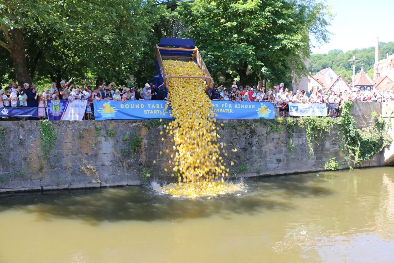 Entenrennen in Hall.