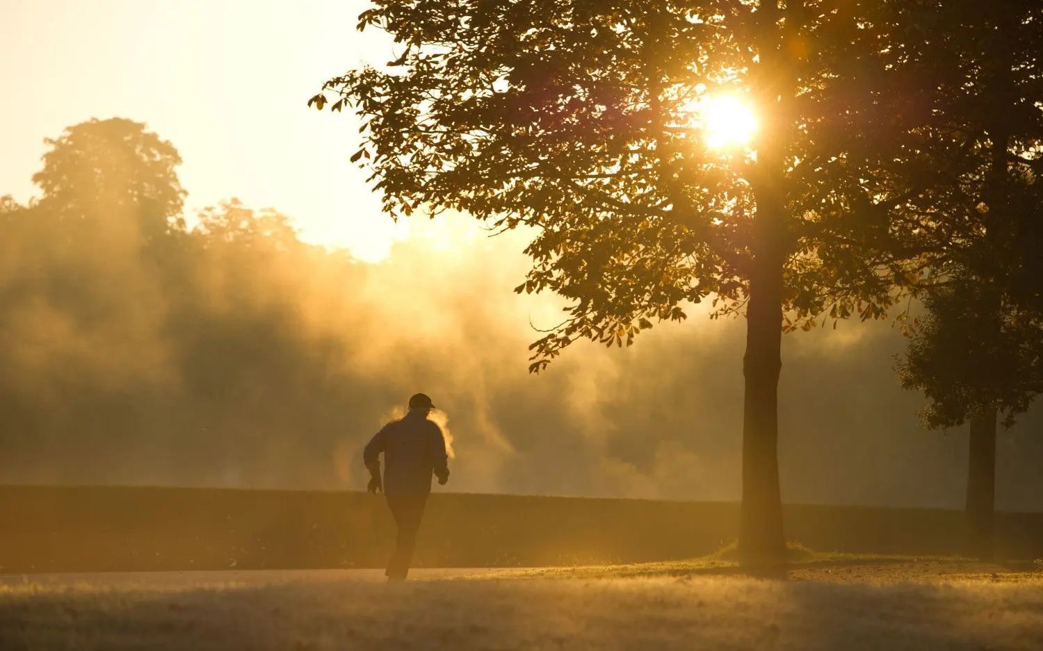 Alleine Joggen in den Sonnenuntergang. So sieht Sport derzeit aus.