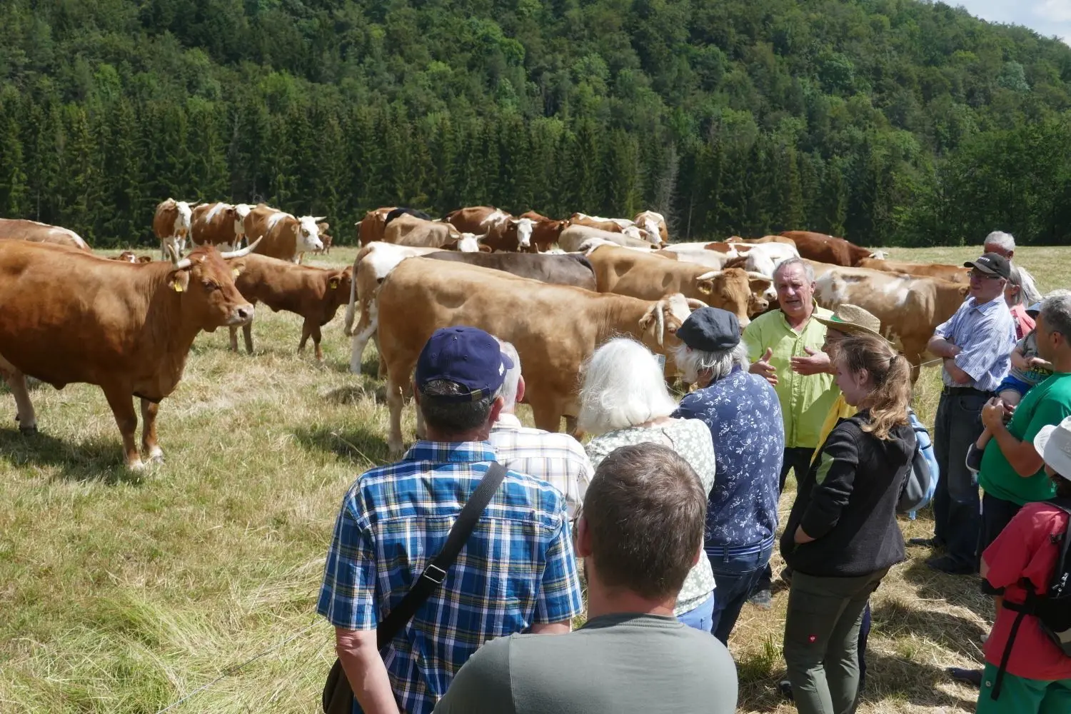 Besonders interessant war für die Gäste der Besuch bei den Mutterkühen und Kälbern auf der Weide.⇥