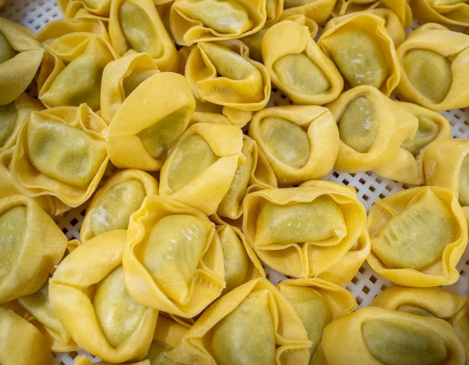 Das sind Tortellini, frisch gefüllt.