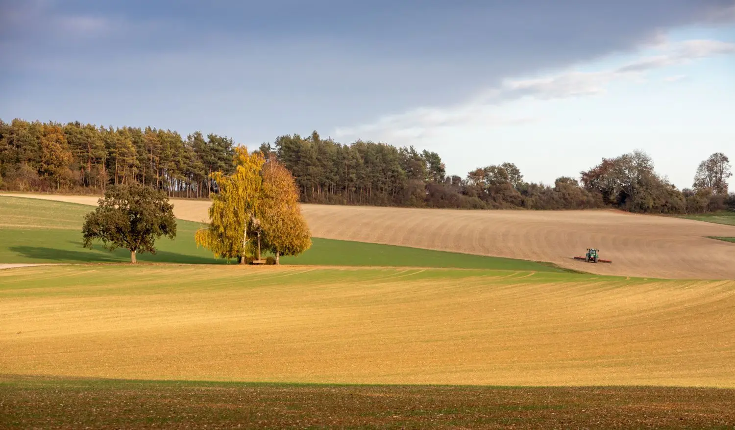Goldener Oktober: Die Sonne scheint auf abgeerntete Felder in der Region Ehingen.
