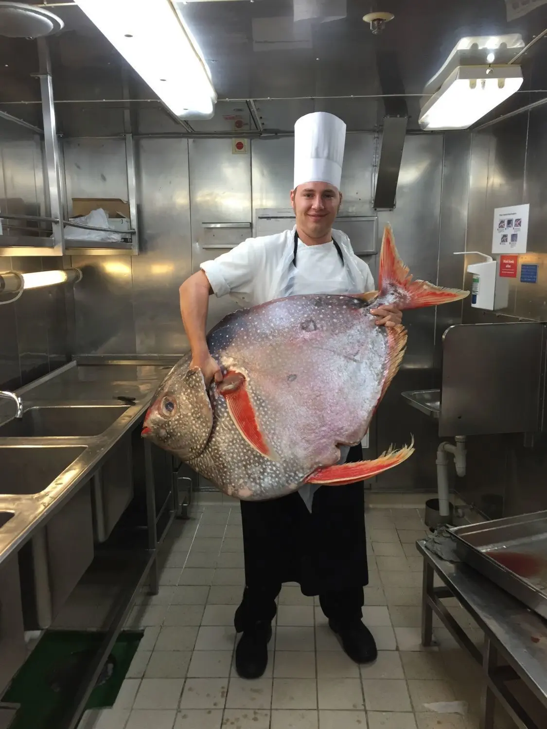 Dicker Fisch für den Speiseplan an Bord: Schiffskoch Philipp Schoner mit einem Moonfish, zu deutsch: Gotteslachs, aus Bora Bora.