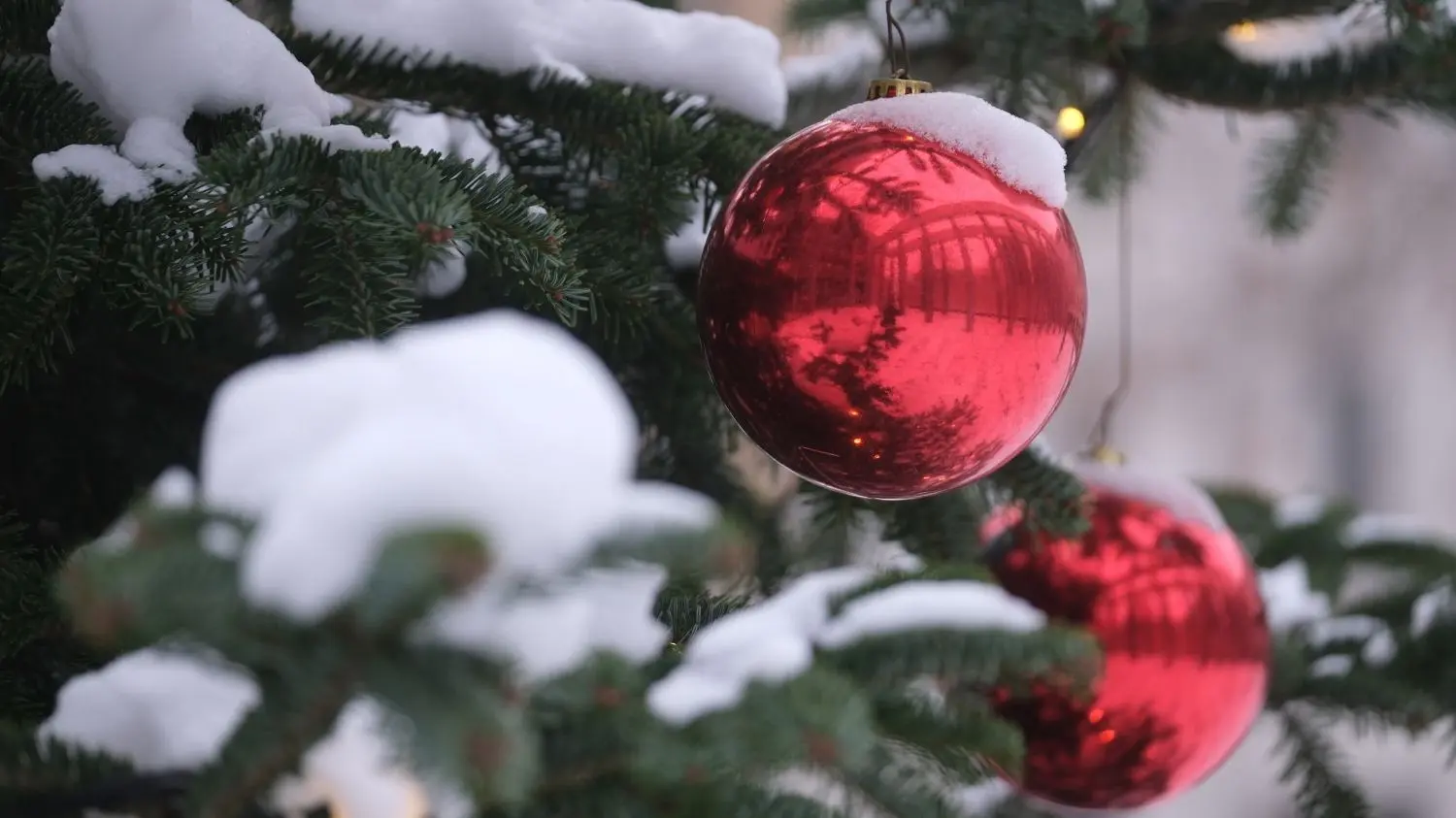 Wäre das Christfest schon Anfang Dezember, dann hätte das dieses Jahr weiße Weihnacht ziemlich überall bedeutet. Der Schnee aber ist längst wieder weg, und ob neuer kommt zum Wochenende, scheint eher ungewiss. So zumindest sagt es der langjährige Zollernalb-Wetterbeobachter Karl-Heinz Jetter⇥