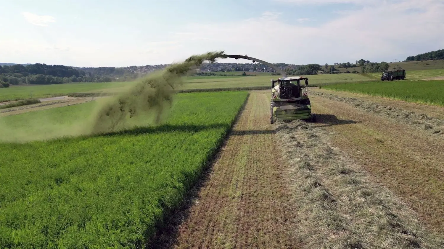 Ein weiterer Vorteil: Die Gründüngung für die Ackerfläche ist direkt vor Ort und muss nicht transportiert werden (Transfermulch).