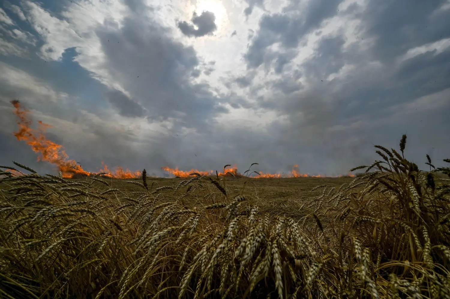 Ein Feuer, das durch russischen Beschuss ausgelöst wurde, zerstört ein Weizenfeld in der Region Saporischschja. Die Ernte in der Ukraine war 2022 gleichwohl besser als befürchtet. Trotzdem: Der Krieg wirft viele Fragen auf, auch für Landwirte in Hohenlohe. ⇥
