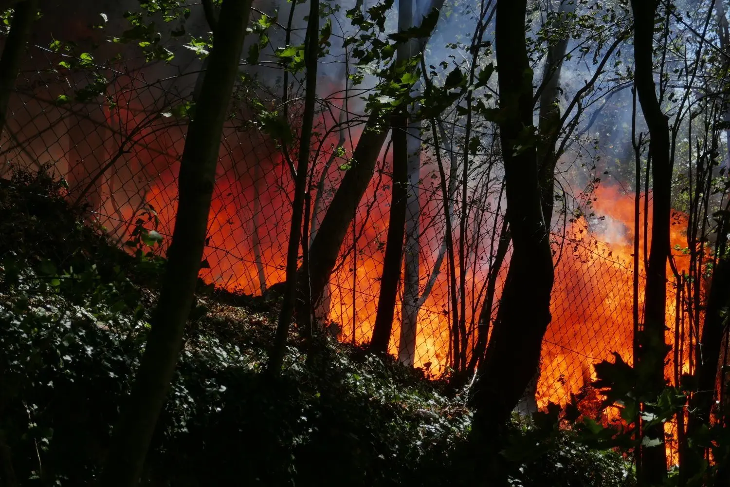 Eine Gartenhütte, eine Grasfläche und Bäume beim Glasfels in Blaubeuren stehen in Flammen.