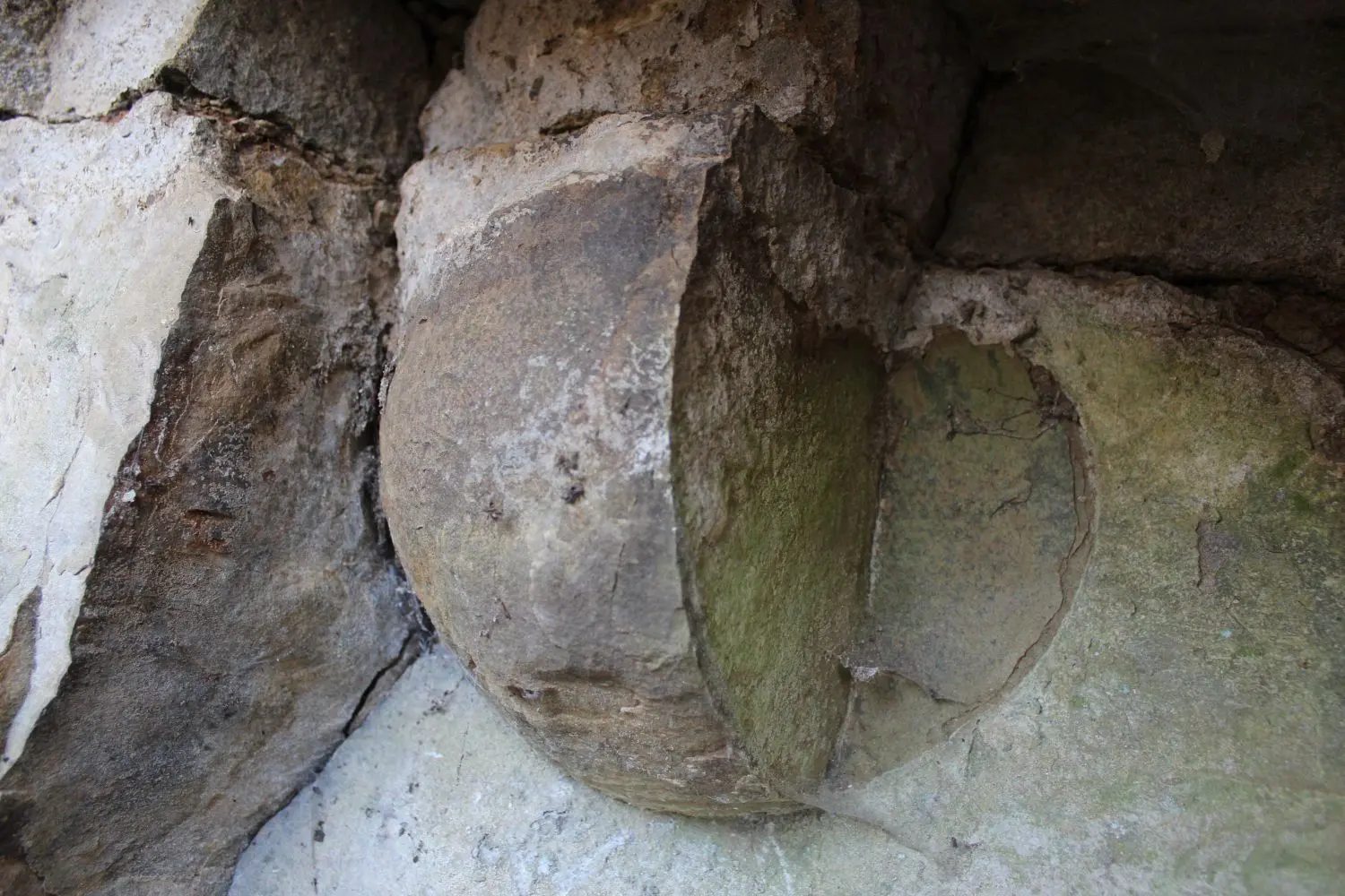 Die fußballgroße Versteinerung „hängt“ in der Felswand. Das Urtier ist mit Sedimenten verfüllt. Ein größeres Stück ist herausgebrochen.