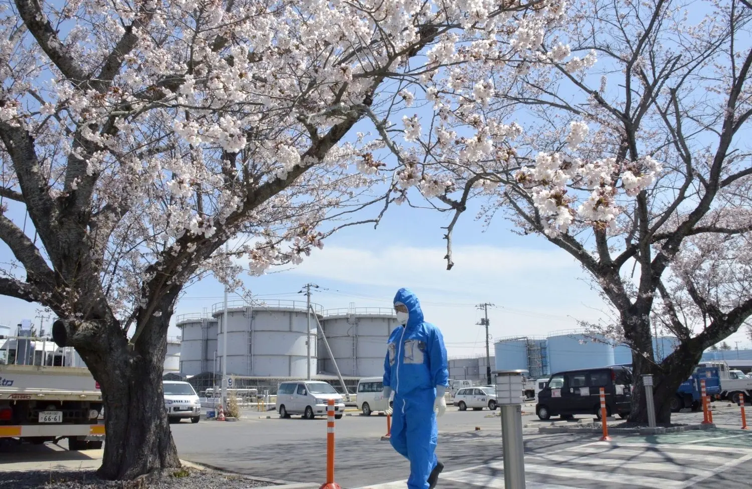 Blühende Kirschbäume stehen auf dem Gelände des Kernkraftwerks Fukushima Daiichi, bei dem es vor zehn Jahren zur Nuklearkatastrophe kam.