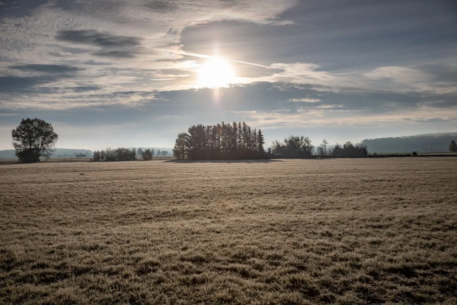 Mit morgendlichem Raureif bedeckte Wiese bei Griesingen.