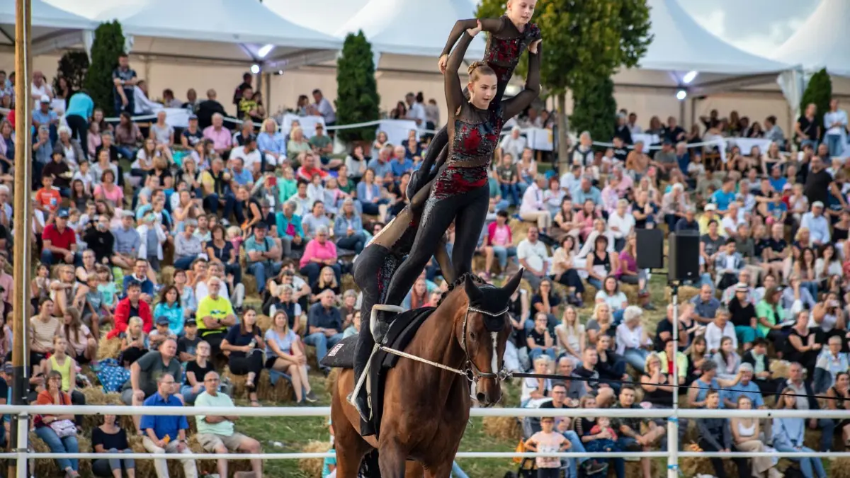 Atemberaubende Vorführung: Auch die Voltigier-Gruppe Mühlacker begeisterte die mehr als 4000 Zuschauer bei der Gala-Show auf dem Birkhof.