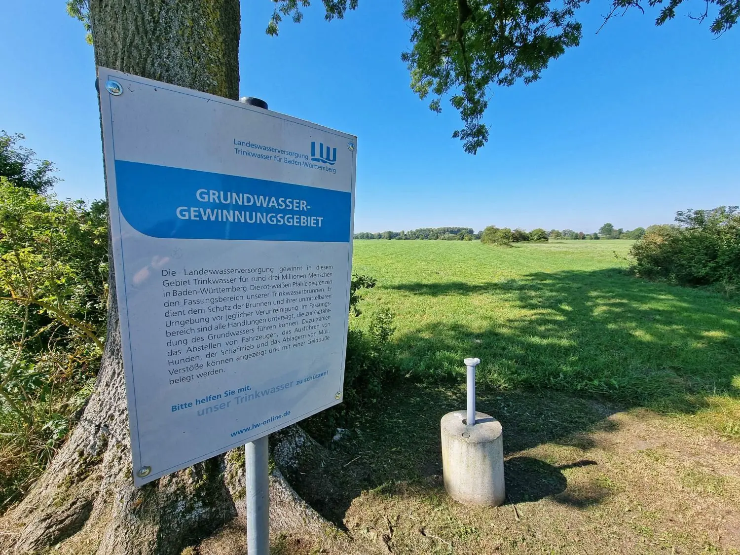 Das württembergische Donauried ist einer der bedeutendsten Grundwasserspeicher im Land. Er fasst laut Landeswasserversorgung rund eine Milliarde Kubikmeter.