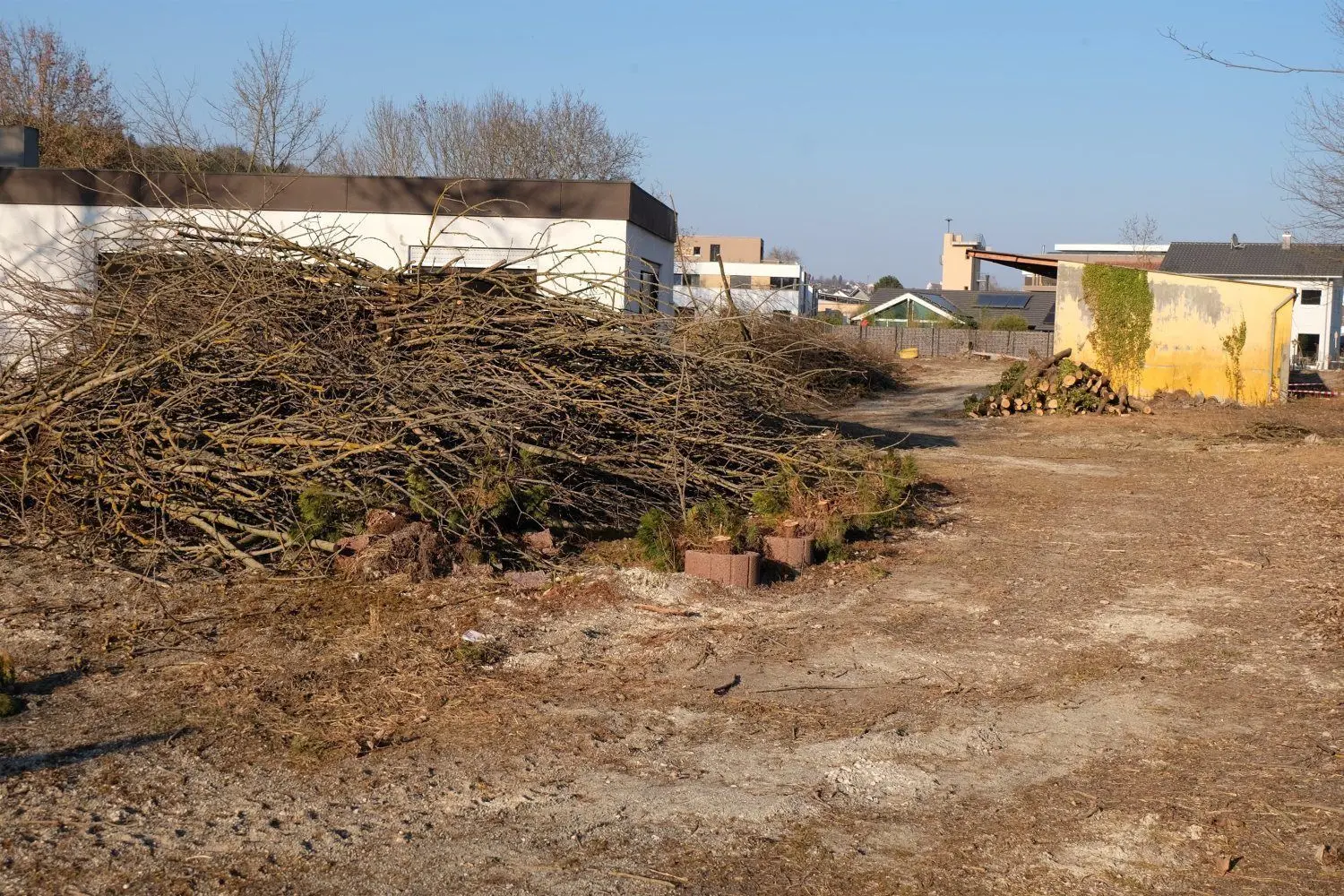 Zwischen Bahn und Eichenstraße in Thalfingen soll ein neues Seniorenzentrum entstehen. Das Grundstück ist bereits gerodet.