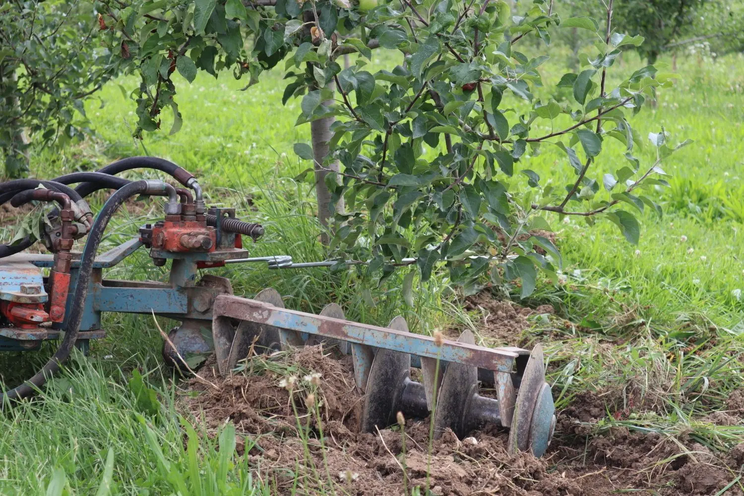 Die Unterstock-Scheibenegge ist ein Gerät zur Bodenbearbeitung gegen Unkraut.