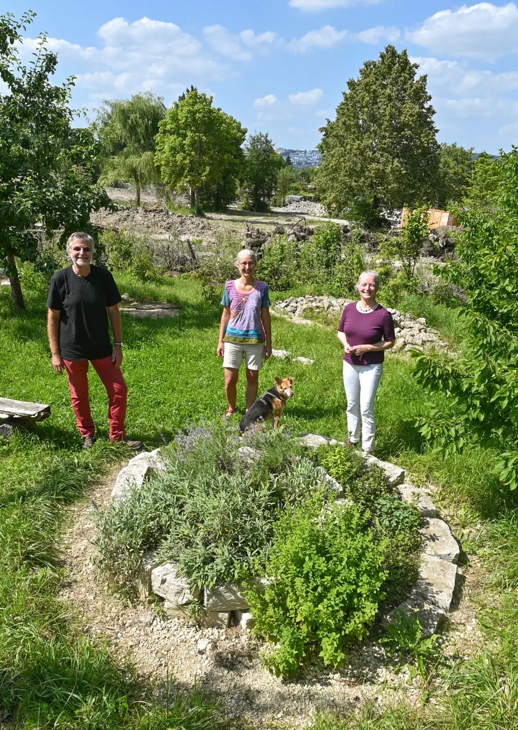 36+ Bennet Der Heimliche Garten, Kannst du dir vorstellen, wie es