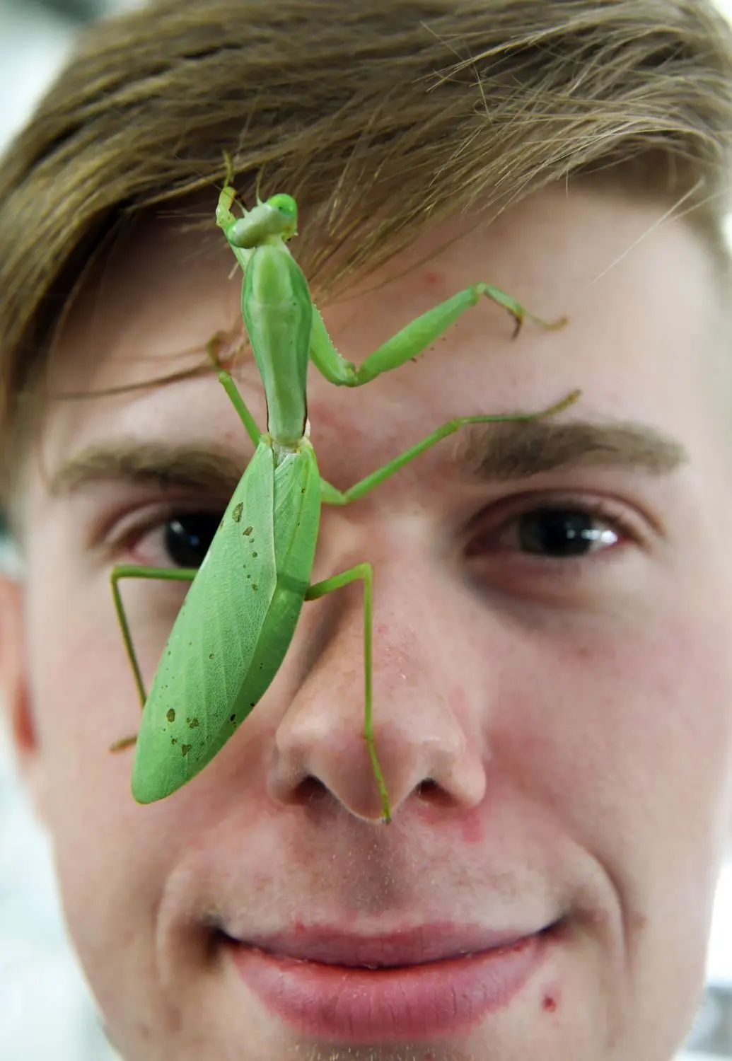 Insektenzüchter Adrian Kozakiewicz ist ein Internet-Star