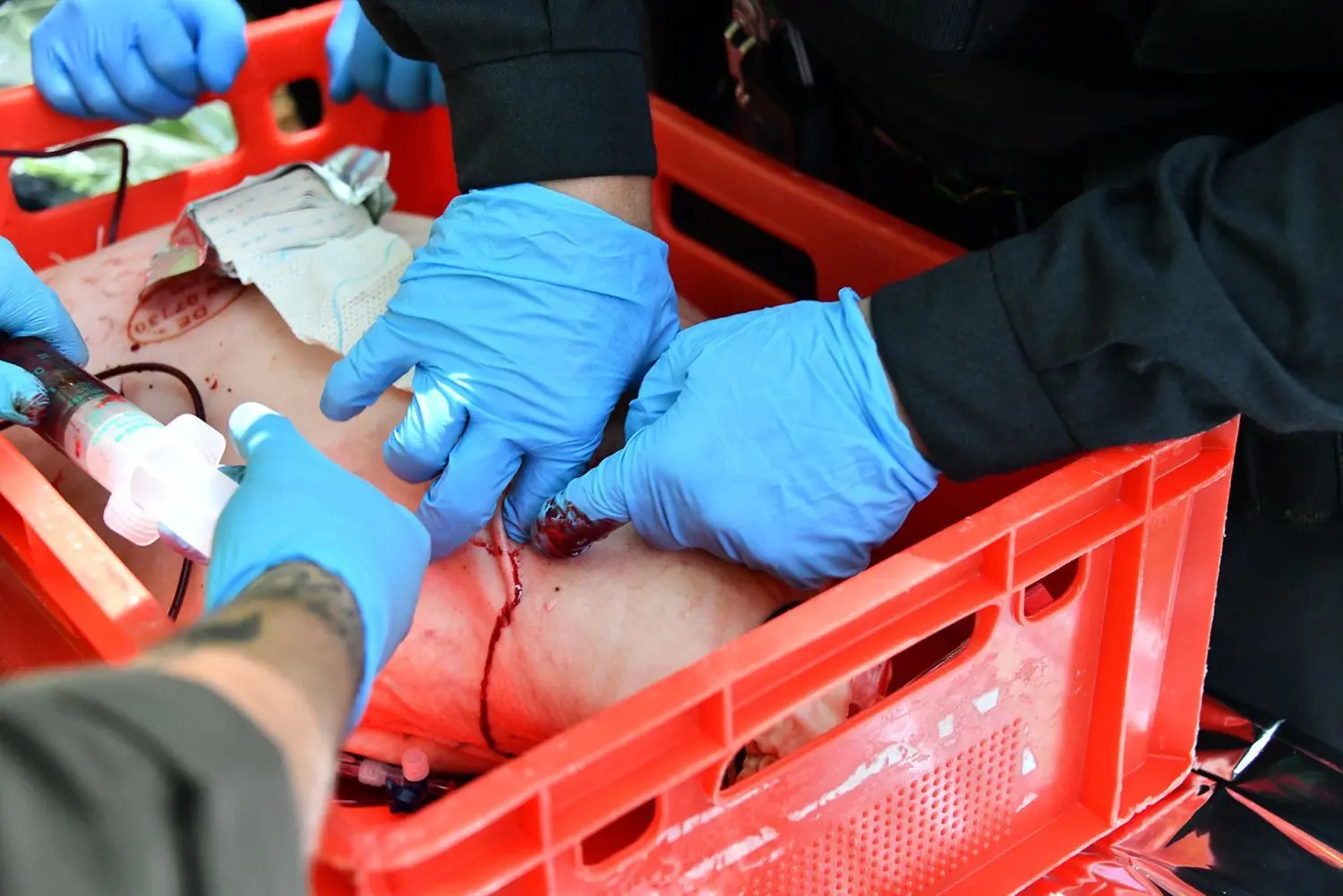 An Schweineschinken wurde die Blutstillung tiefer Stich- und Schusswunden geübt. Die Ausbilder spritzten dabei immer neues Schweineblut nach, um zu prüfen, wie effektiv die Teilnehmer mit ihren Maßnahmen waren.