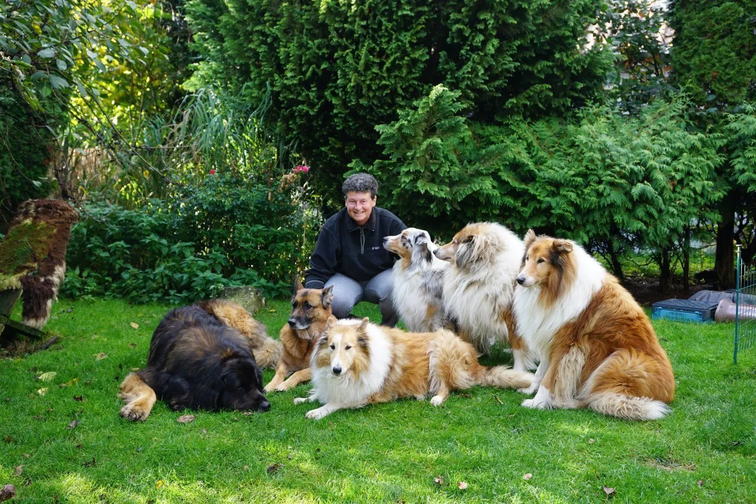 Sandra Franke mit ihren sechs Hunden: drei Collies, ein Leonberger, ein Schäferhund und ein Australian Shepherd. Außerdem hat sie vier Katzen, drei Hasen und zwei Laufenten.⇥