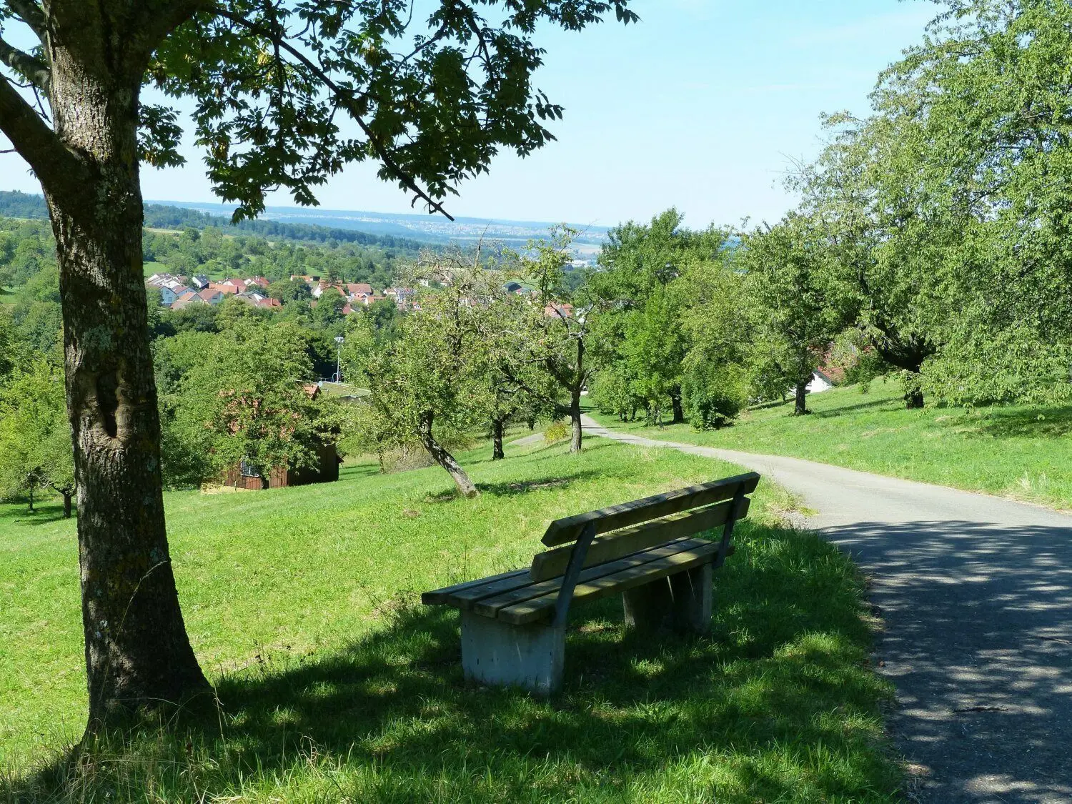 Die Bank am Wanderweg zum Hirschbrunnen bietet beste Aussichten.
