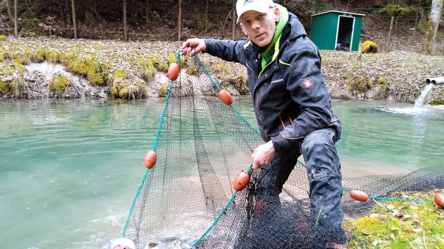 Guter Fang! Der Bedarf an Forellen wird noch steigen. Fisch ist die Karfreitagsspeise überhaupt. Im Hofladen von Martin Pfister, aber auch bei den örtlichen Angelvereinen Stetten und Gauselfingen gehen jetzt verstärkt die Bestellungen ein. ⇥