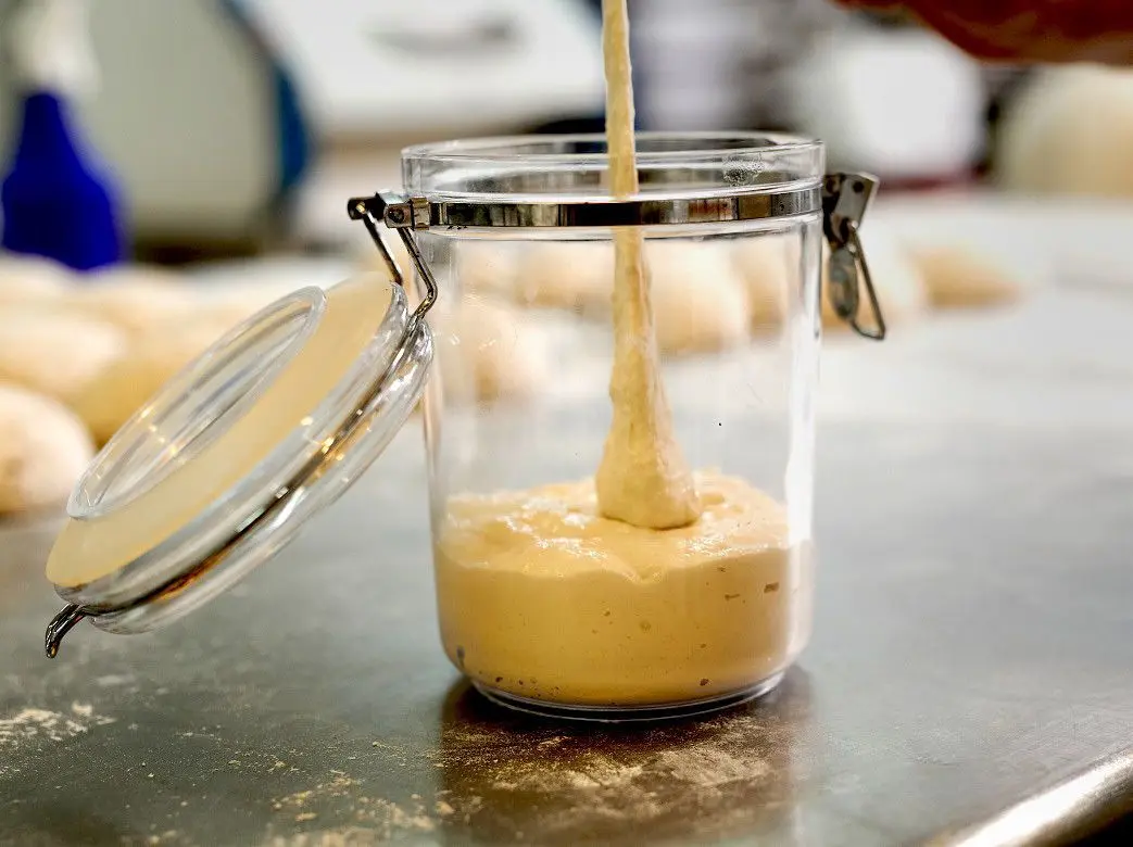 Das sogenannte Anstellgut wird als Triebmittel beim Backen eingesetzt.