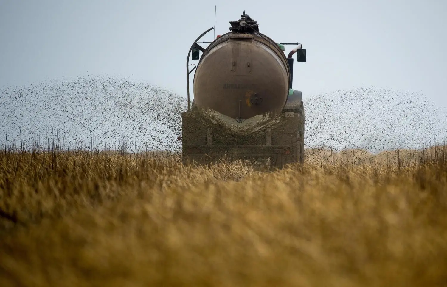 Verantwortlich für den Nitratgehalt ist vor allem intensive Landwirtschaft, bei der viel gedüngt wird.⇥
