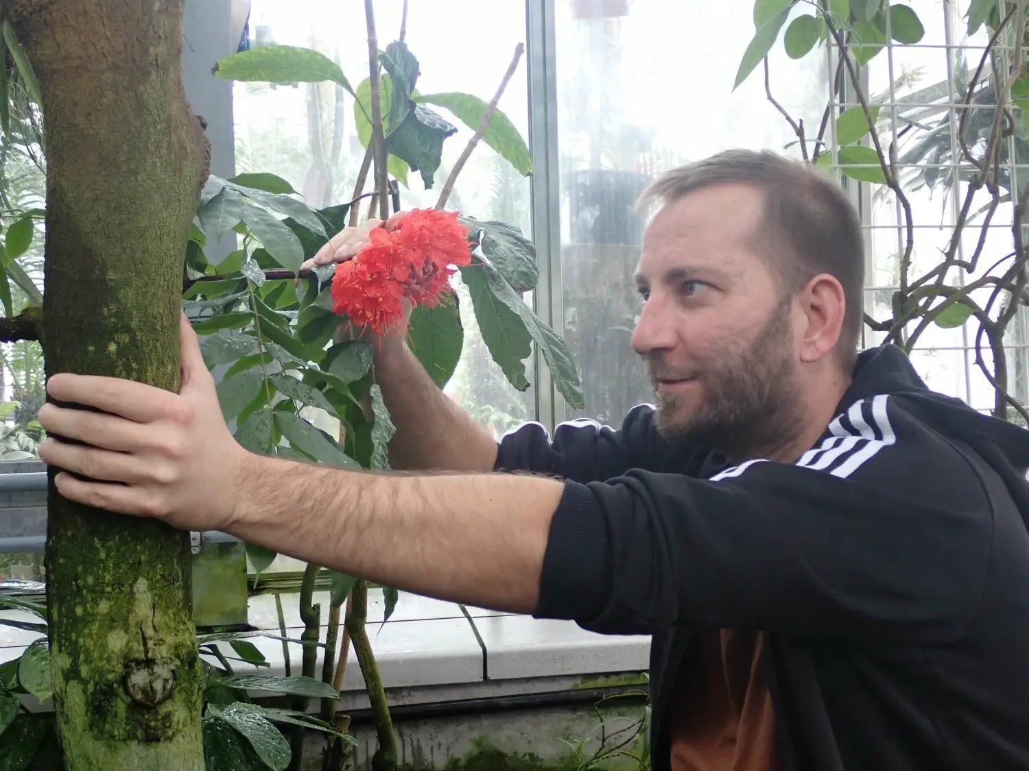 Freizeit in Ulm Hinein in den Frühling Wann der Botanische