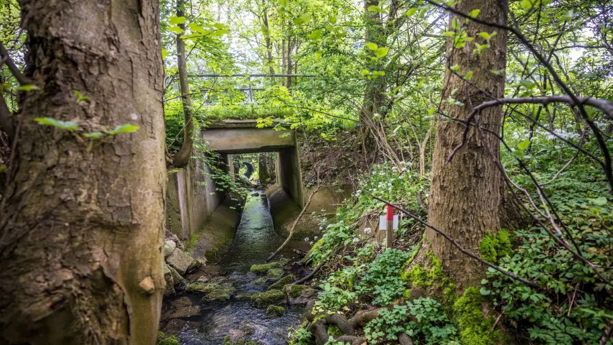 Die kleine Brücke über den Schweinbach muss ersetzt werden.