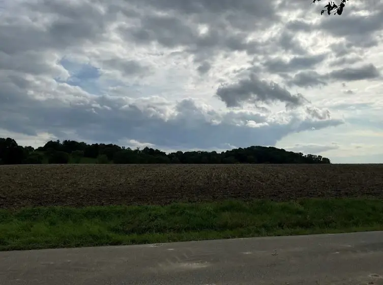 Westliche Teilfläche