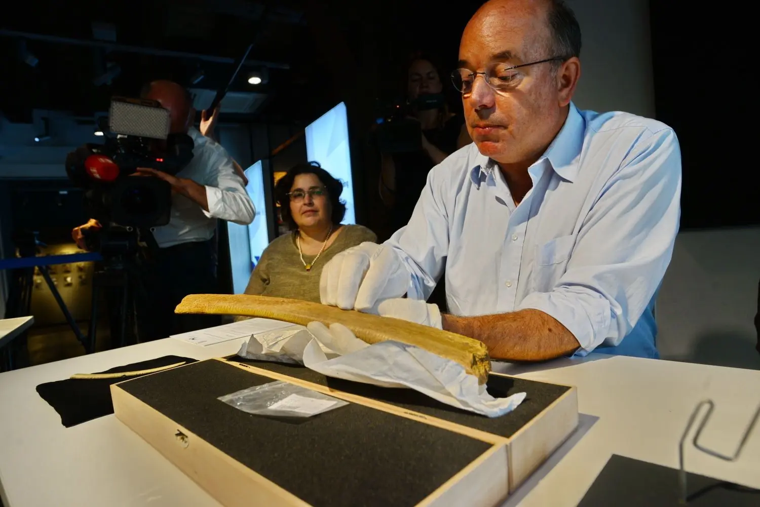 Nicholas Conard bei der Vorstellung eines Fundes, einer Mammut-Rippe, im Urgeschichtlichen Museum in Blaubeuren. Er fordert eine regelmäßige Unterstützung der Ausstellungsorte im Ach- und Lonetal.⇥