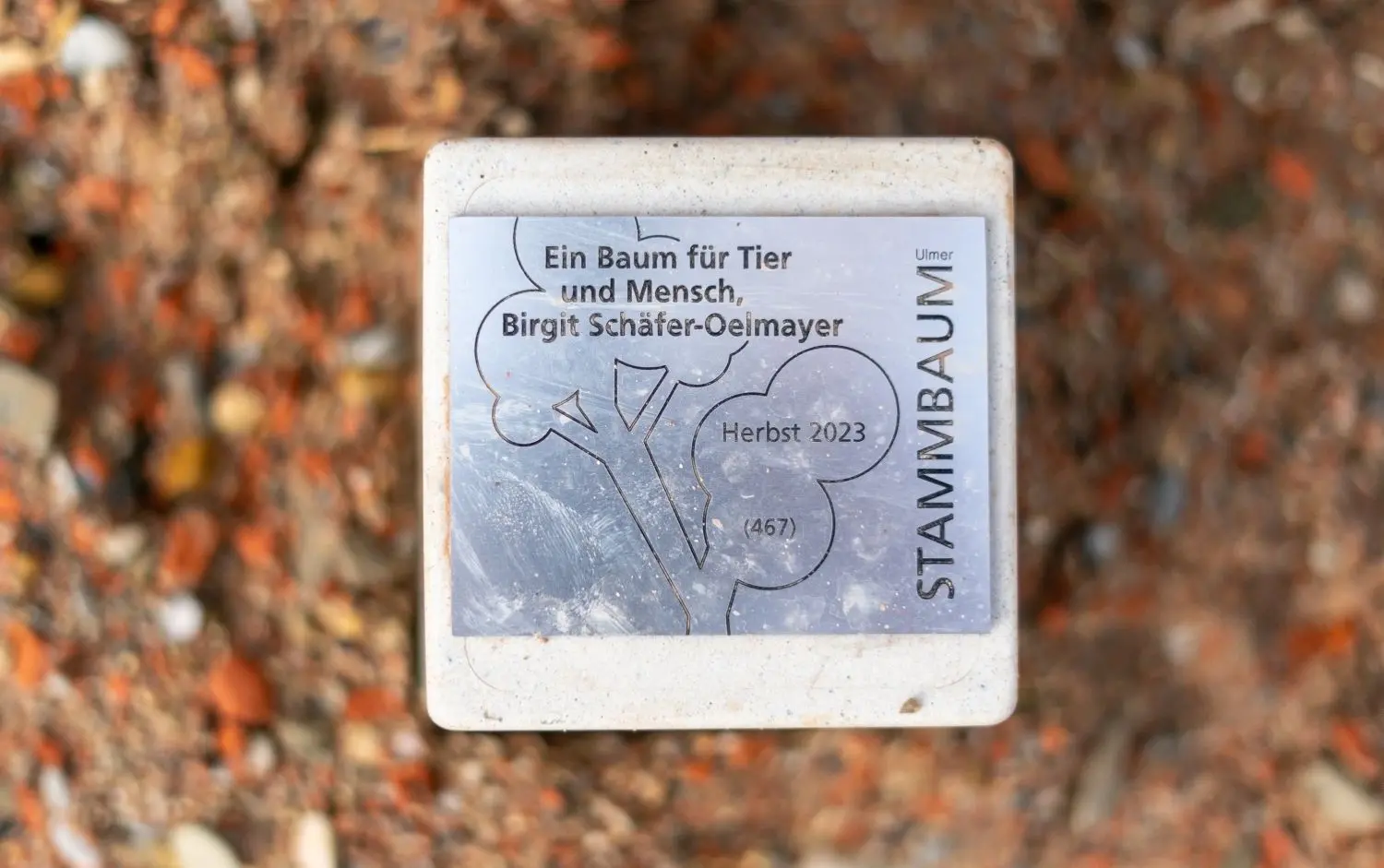 Dazu gehört eine kleine Gedenktafel.