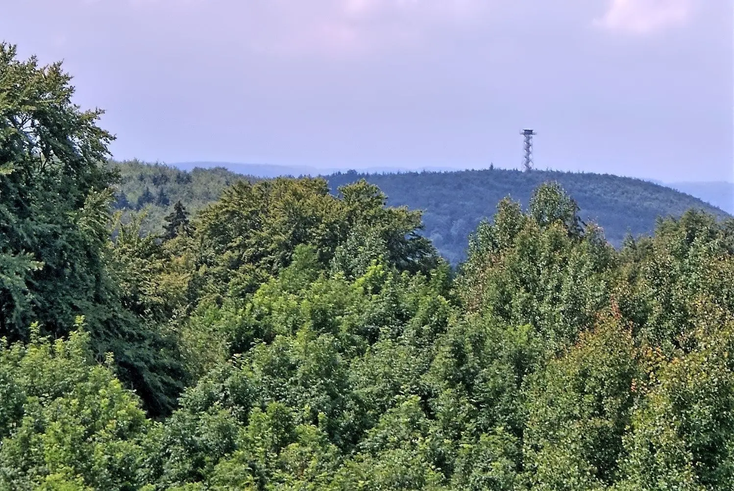 Der Hursch ist weithin zu sehen. ⇥